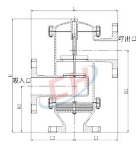 帶雙接管阻火呼吸閥結(jié)構(gòu)圖